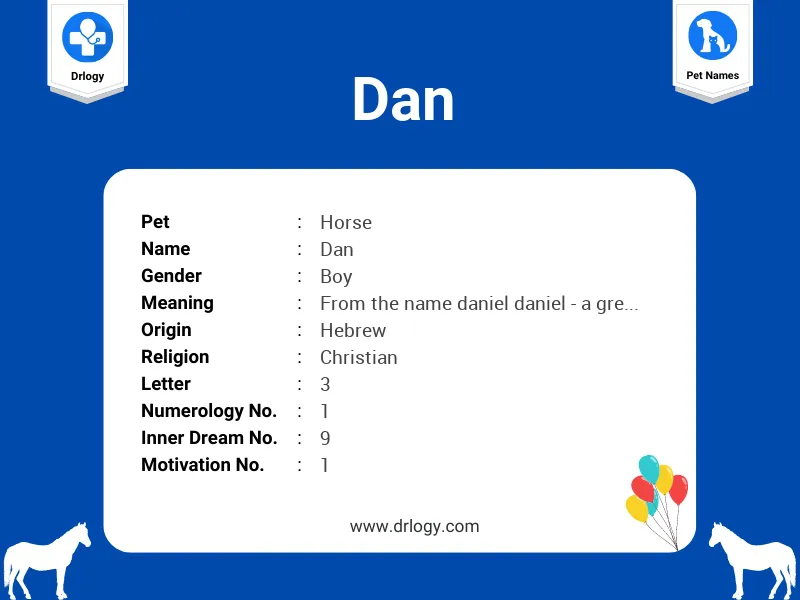 Dan Name Meaning