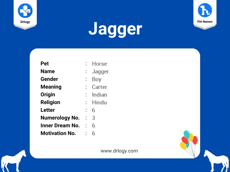Jagger Name Meaning