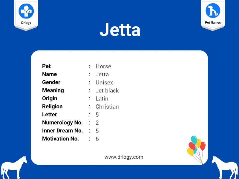 Jetta Name Meaning