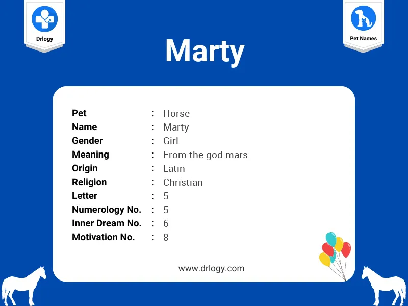 Marty Name Meaning