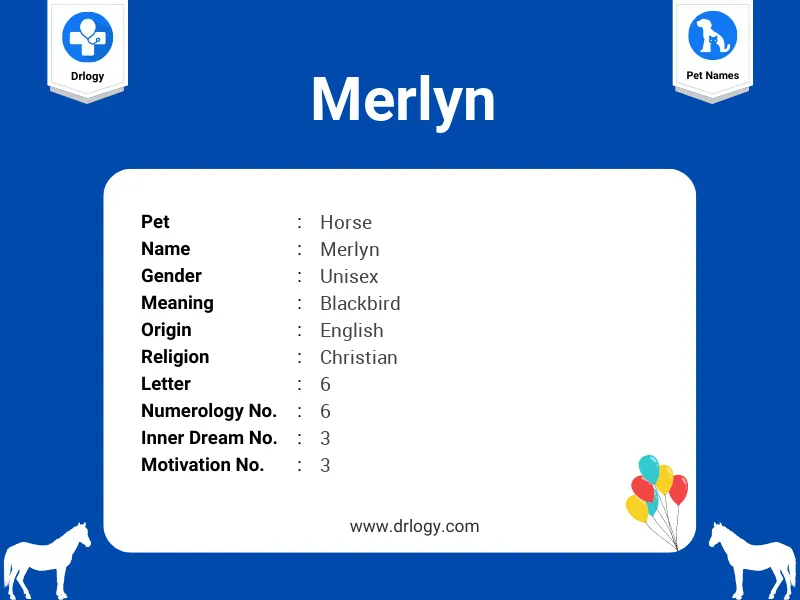 Merlyn Name Meaning
