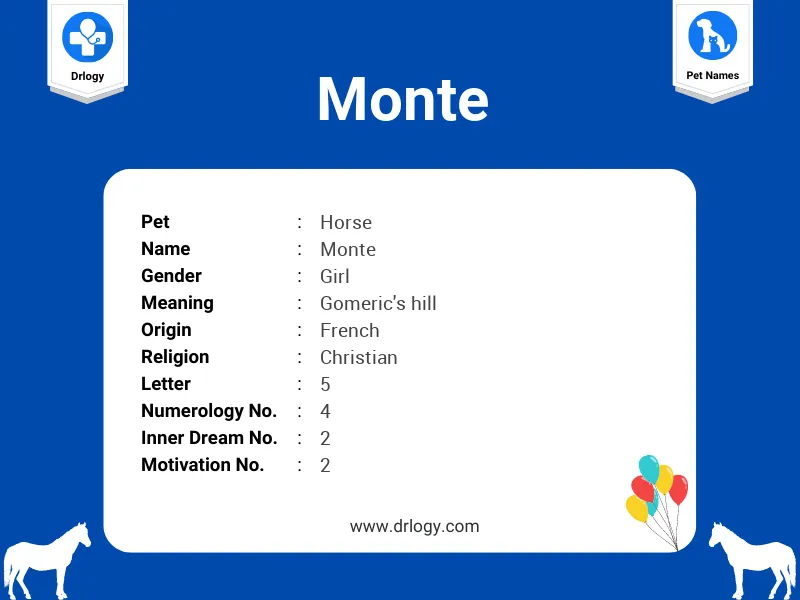 Monte Name Meaning