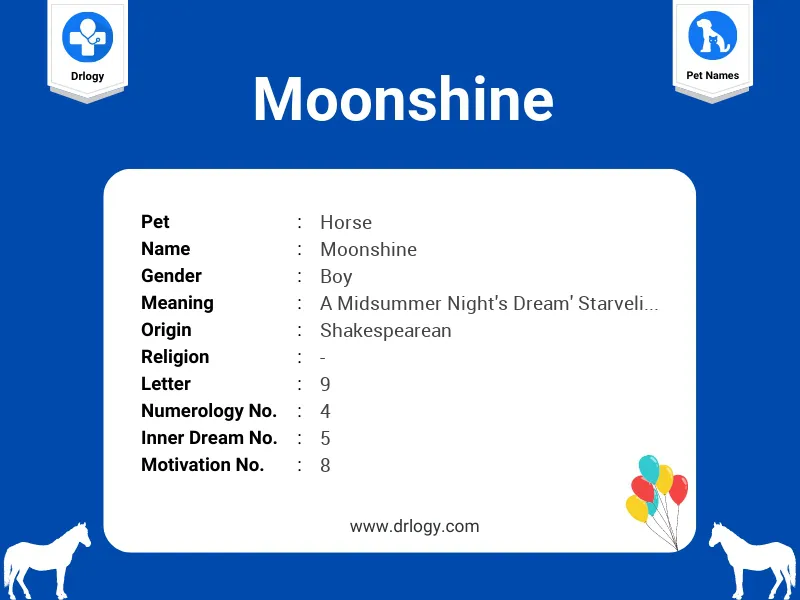 Moonshine Name Meaning