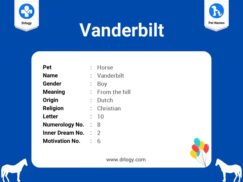 Vanderbilt Name Meaning