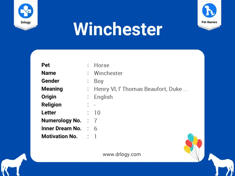 Winchester Name Meaning