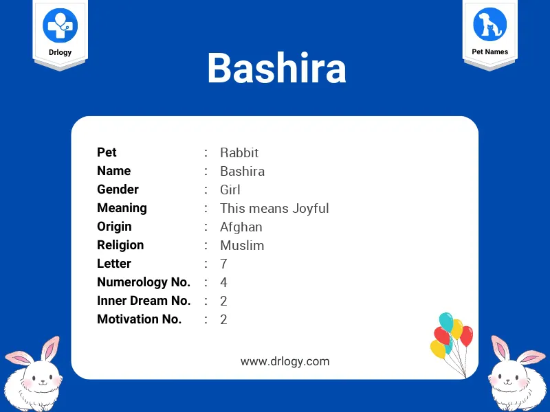 Bashira Name Meaning