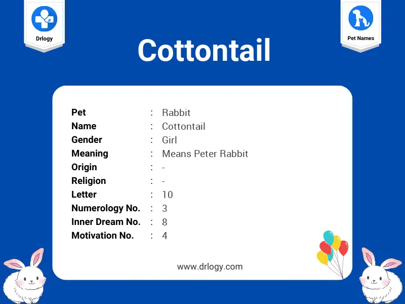 Cottontail Name Meaning