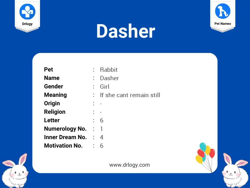 Dasher Name Meaning
