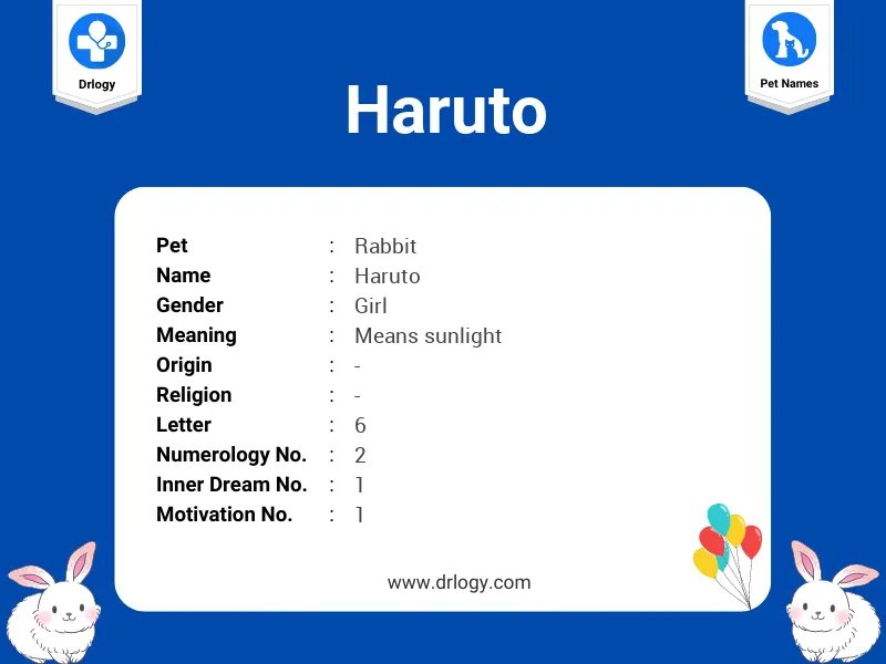 Haruto Name Meaning