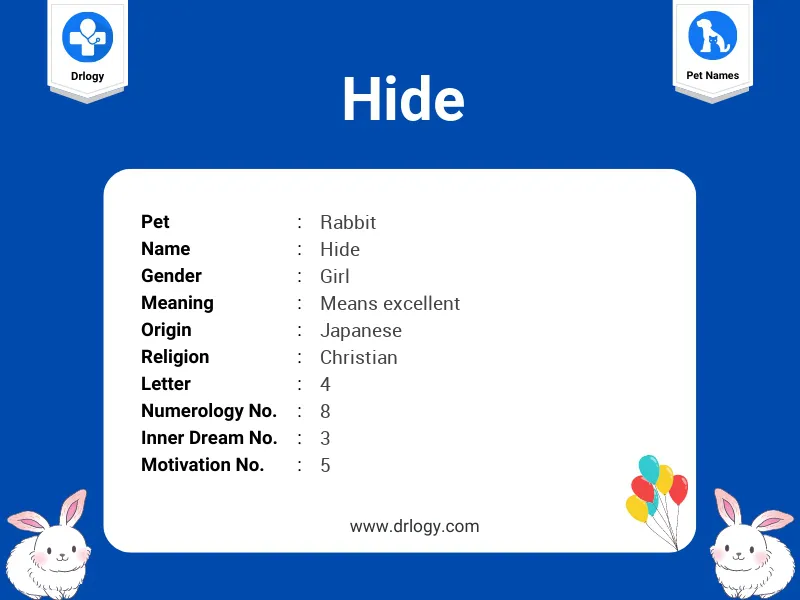 Hide Name Meaning
