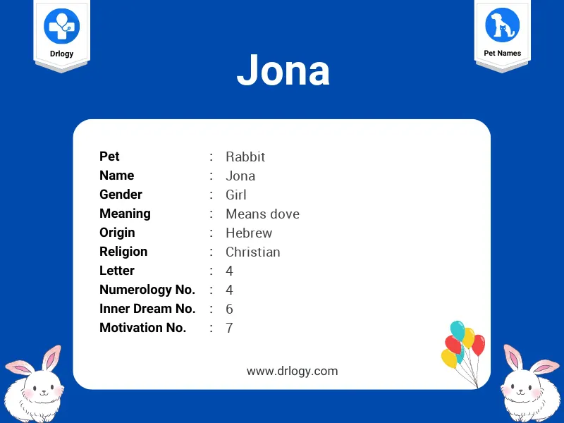 Jona Name Meaning