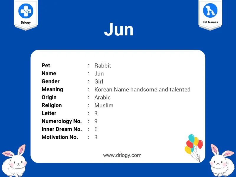Jun Name Meaning