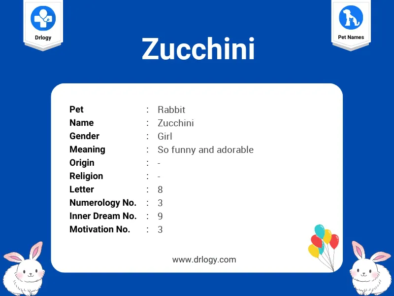 Zucchini Name Meaning