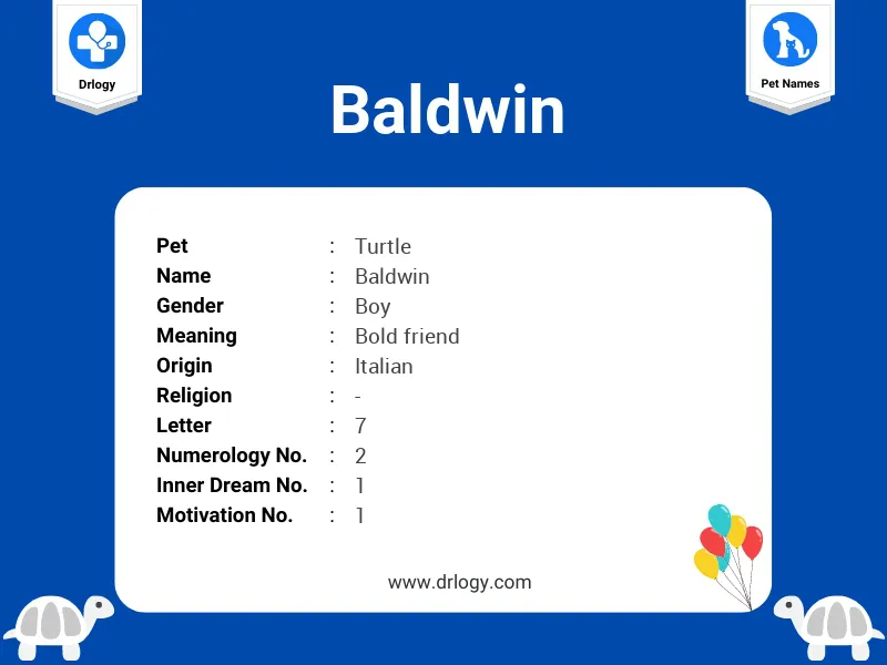 Baldwin Name Meaning