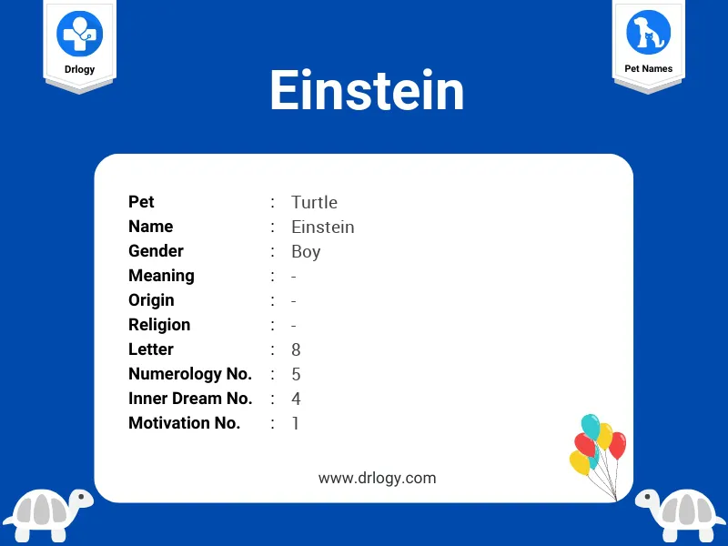 Einstein Name Meaning