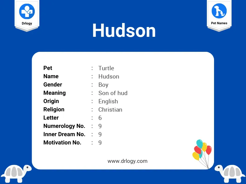 Hudson Name Meaning