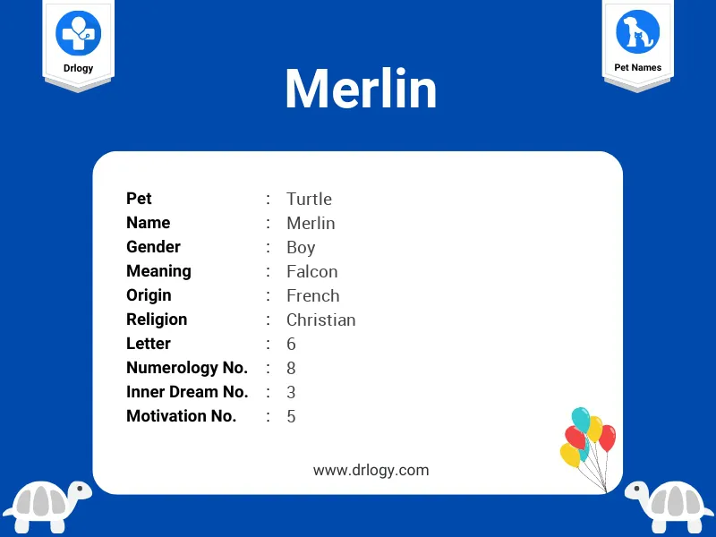 Merlin Name Meaning