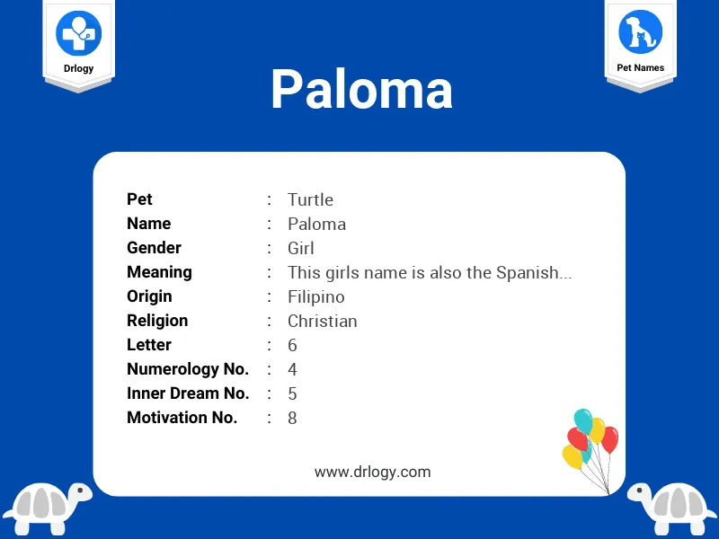 Paloma Name Meaning
