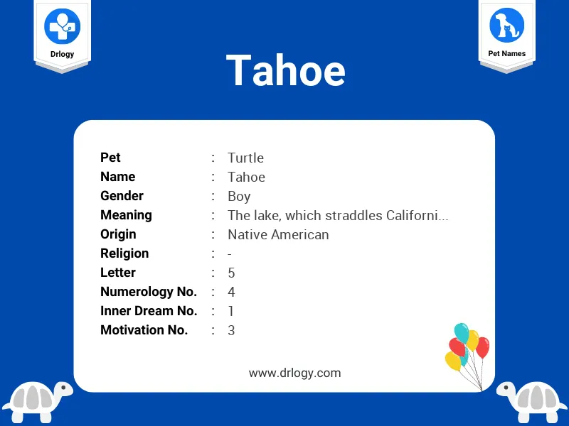 Tahoe Name Meaning