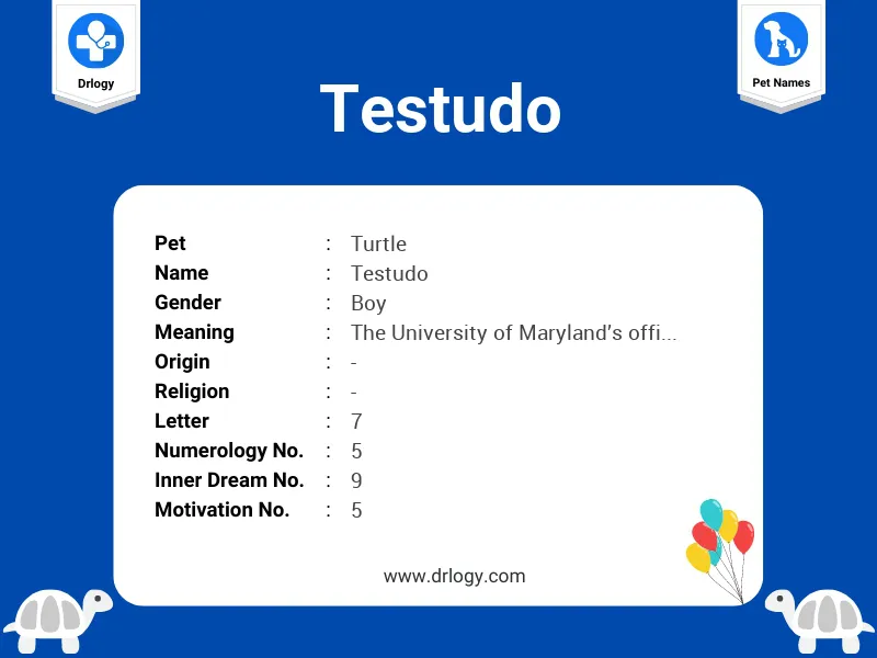 Testudo Name Meaning