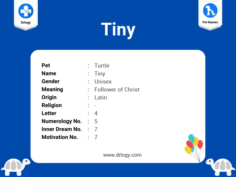 Tiny Name Meaning