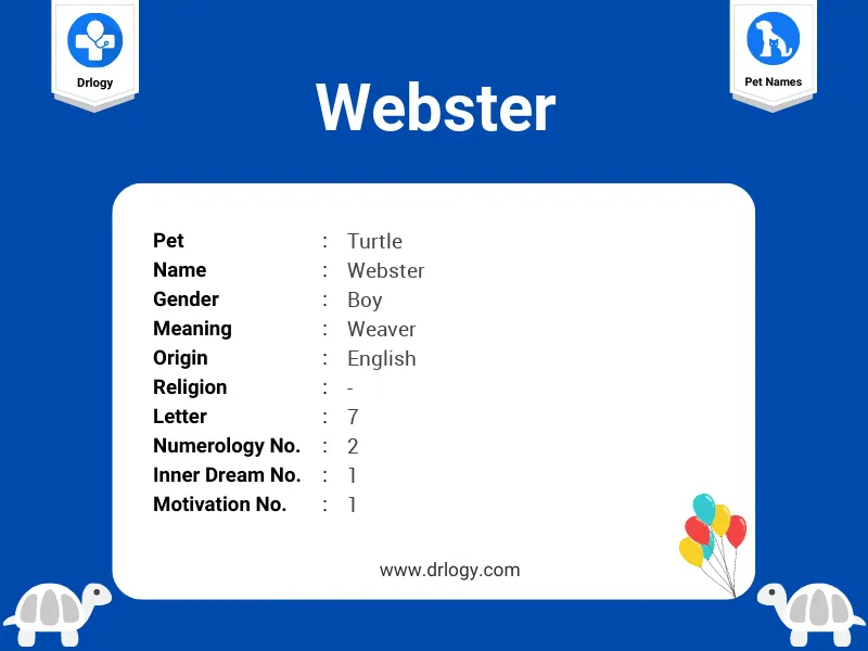 Webster Name Meaning