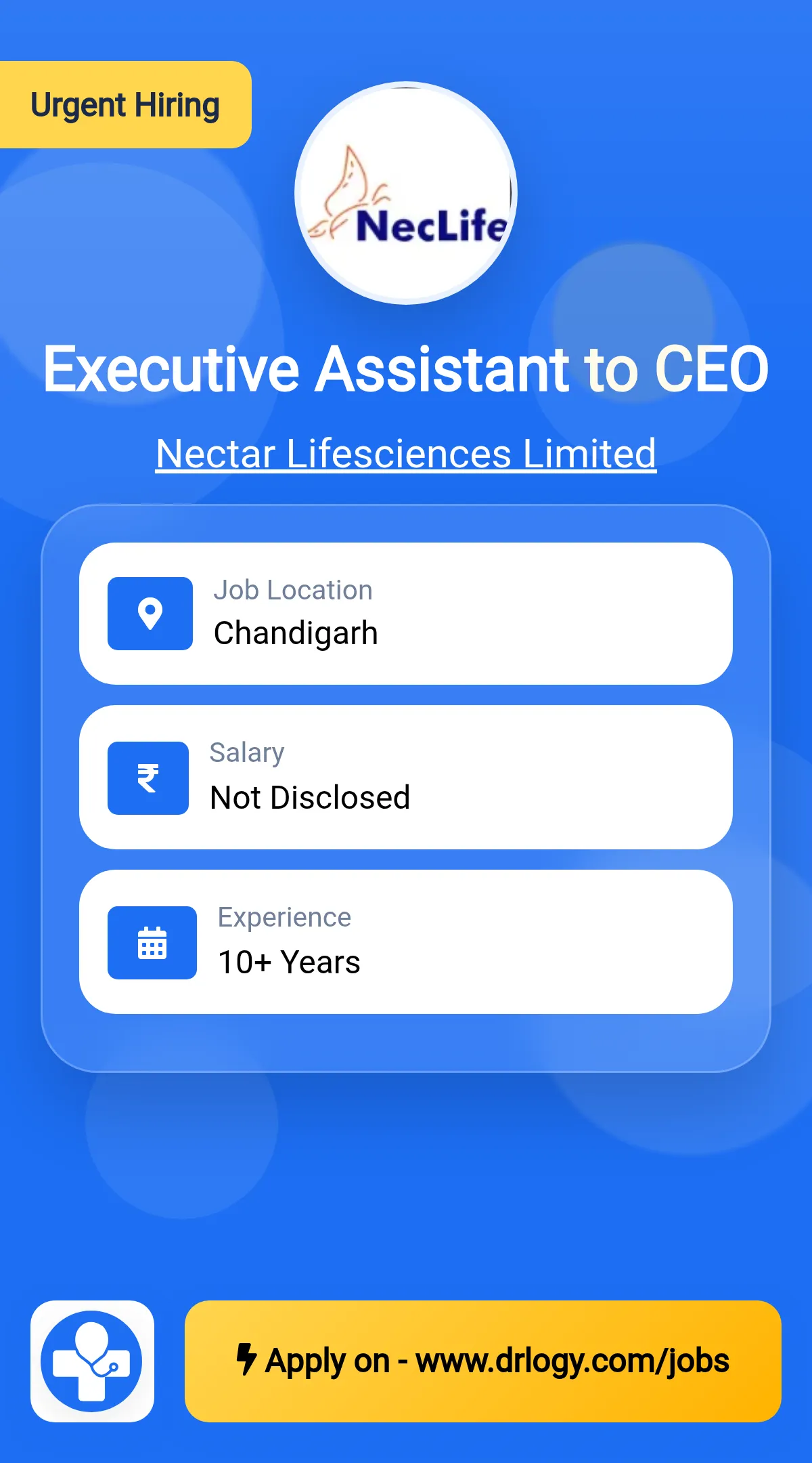 Executive Assistant to CEO