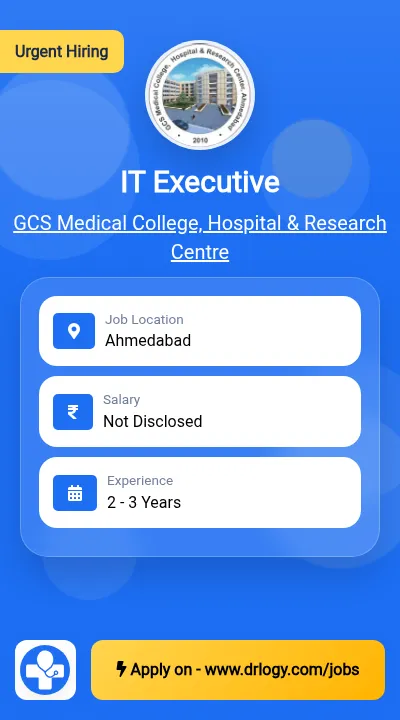 IT Executive