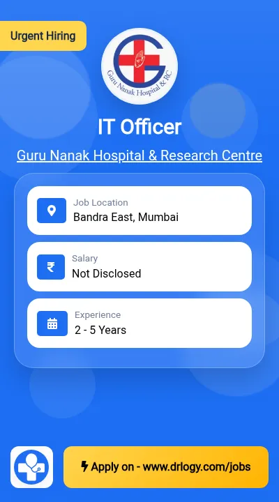 IT Officer